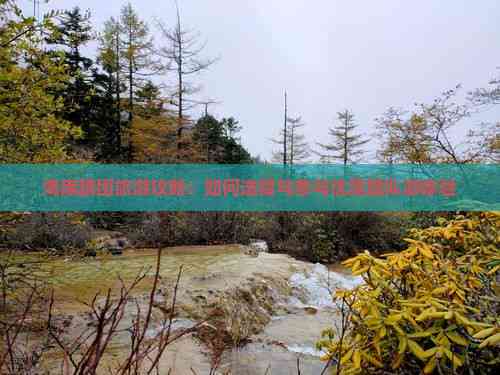 海南跟團(tuán)旅游全攻略 如何選擇與參與優(yōu)質(zhì)團(tuán)隊(duì)游體驗(yàn)